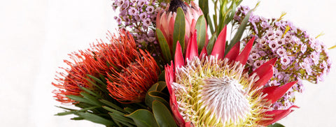 florist mill park